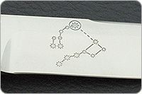 Нож Полярный орех, 95х18, текстолит : фото 9