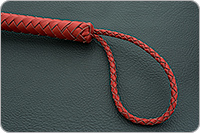 Плеть красная  : фото 2