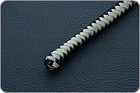 Волчатка черно-белая  : фото 4