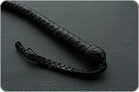 Кнут Snake 2м. черный  : фото 2