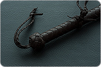 Кнут 3м. коричневый  : фото 2