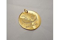 Медальон Чеширский кот Златоуст