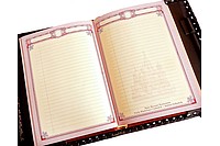 Ежедневник большой Волк  : фото 3