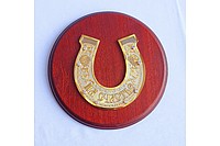 Подкова На счастье N2