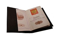 Обложка для паспорта и автодокументов  : фото 9