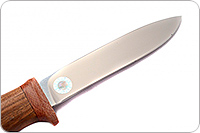 Нож Попутчик-3 орех, 95х18, текстолит : фото 3