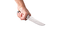 Нож Лиса граб (черное дерево), 95х18, алюминий : фото 4