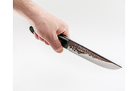 Нож Лиса накладки микарта, 95х18, цельнометаллический : фото 5