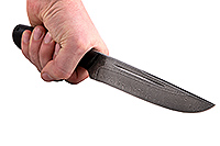 Нож Бекас  накладки граб, нержавеющий дамаск, цельнометаллический : фото 4