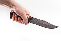 Нож Койот береста, нержавеющий дамаск, текстолит : фото 4